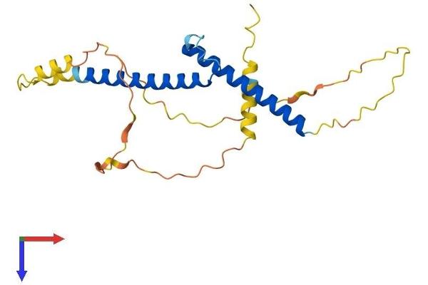 BHLHE23 Protein (AA 1-225) (His tag)
