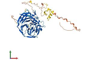 AlphaFold protein structure predicition of Mouse Recombinant Rag2 Protein, UniprotID P21784 (RAG2 Protein (AA 1-527) (His tag))