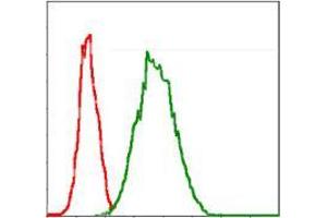 Flow cytometric analysis of Jurkat cells using G6PD mouse mAb (green) and negative control (red). (Glucose-6-Phosphate Dehydrogenase Antikörper)