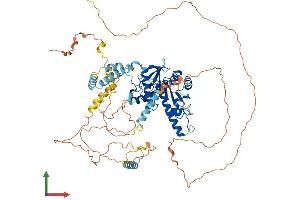 Protein Structure (PS) image for Adducin 1 (Alpha) (ADD1) (AA 1-737) protein (His tag) (ABIN7552029)