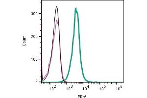 Cell surface detection of CALCRL by direct flow cytometry in live intact human KU812 basophilic leukemia cell line: + Rabbit IgG isotype control-PE.