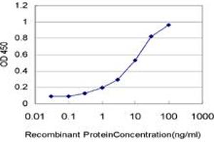 Detection limit for recombinant GST tagged HOXA5 is approximately 0. (HOXA5 Antikörper  (AA 171-270))