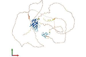 Protein Structure (PS) image for Fused in Sarcoma (FUS) (AA 1-518) protein (His tag) (ABIN7556499)