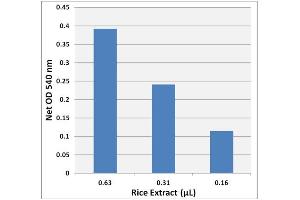 Starch Detection in Total Rice Extract using the Starch Assay Kit (Colorimetric)