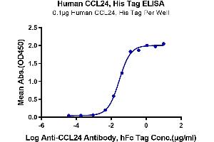 ELISA image for Chemokine (C-C Motif) Ligand 24 (CCL24) (AA 27-119) protein (His tag) (ABIN7274047)