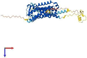 GPR173 Protein (AA 1-373) (His tag)