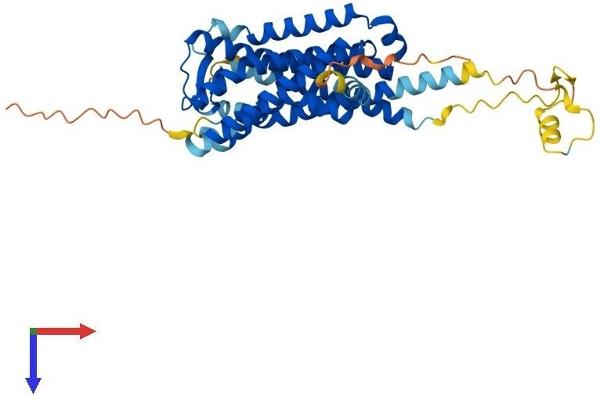 GPR173 Protein (AA 1-373) (His tag)