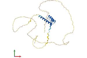 AlphaFold protein structure predicition of Human Recombinant CRX Protein, UniprotID O43186