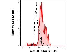 Separation of MCF-7 cells stained using anti-human betaIII-Tubulin (TU-20) FITC antibody (10 μL reagent per million cells in 100 μL of cell suspension, red-filled) from MCF-7 cells stained using mouse IgG1 isotype control (MOPC-21) FITC antibody (concentration in sample 15 μg/mL, same as betaIII-Tubulin FITC concentration, black-dashed) in flow cytometry analysis (intracellular staining) of MCF-7 cell suspension. (TUBB3 Antikörper  (N-Term) (FITC))