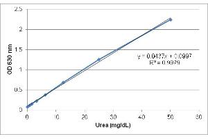 Urea Assay Standard Curve.