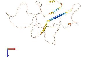 AJAP1 Protein (AA 1-411) (His tag)
