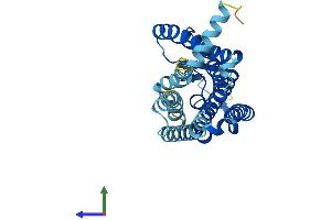 AlphaFold protein structure predicition of Human Recombinant OR4B1 Protein, UniprotID Q8NGF8 (Olfactory Receptor 4B1 (OR4B1) (AA 1-309) protein (His tag))