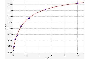 UCP2 ELISA Kit