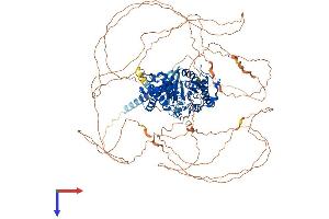 GNAS Protein (AA 1-1037) (His tag)