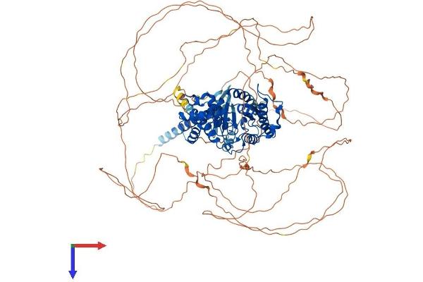 GNAS Protein (AA 1-1037) (His tag)
