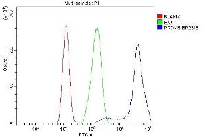 Flow Cytometry analysis of CACO-2 cells using anti-PRDM5 antibody (ABIN7600853). (PRDM5 Antikörper  (AA 24-630))
