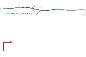SDCCAG8 Protein (AA 1-713) (His tag)
