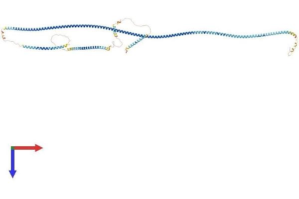 SDCCAG8 Protein (AA 1-713) (His tag)