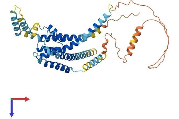 KCNK18 Protein (AA 1-384) (His tag)