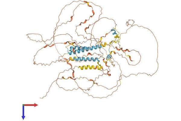 TROAP Protein (AA 1-778) (His tag)