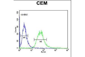 Flow cytometric analysis of CEM cells (right histogram) compared to a negative control cell (left histogram). (CA6 Antikörper  (C-Term))