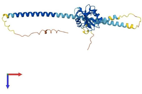 CLEC10A Protein (AA 1-316) (His tag)