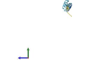 Protein Structure (PS) image for Mitochondrially Encoded ATP Synthase 8 (MT-ATP8) (AA 1-67) protein (Fc Tag) (ABIN7562737)