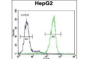 NUDT15 Antibody (C-term) (ABIN654983 and ABIN2844623) flow cytometric analysis of HepG2 cells (right histogram) compared to a negative control cell (left histogram).
