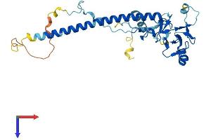 NOSIP Protein (AA 1-301) (His tag)
