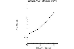 Image no. 1 for P21-Activated Kinase 4 (PAK4) ELISA Kit (ABIN5564605) (PAK4 ELISA Kit)