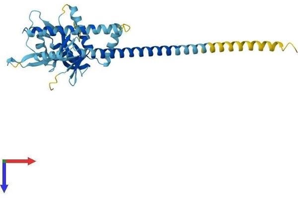 PSMD7 Protein (AA 1-324) (His tag)