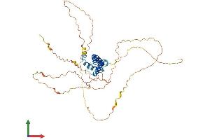 AlphaFold protein structure predicition of Human Recombinant CIART Protein, UniprotID Q8N365 (CIART (AA 1-385) protein (His tag))