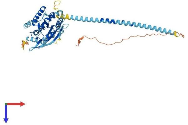 Septin 10 Protein (SEPT10) (AA 1-452) (His tag)