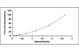 LBP ELISA Kit