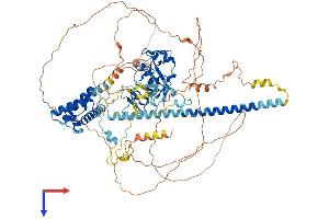 PHF17 Protein (AA 1-834) (His tag)
