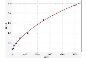 SOCS2 ELISA Kit