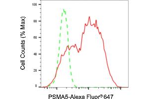anti-Proteasome Subunit alpha 5 (PSMA5) antibody