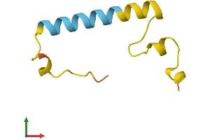 AlphaFold protein structure predicition of Human Recombinant SNHG12 Protein, UniprotID Q9BXW3
