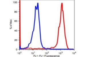 Image no. 2 for anti-CD14 (CD14) antibody (ABIN2704169) (CD14 Antikörper)