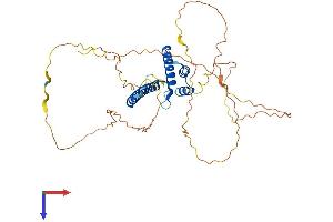 NEUROD2 Protein (AA 1-383) (His tag)