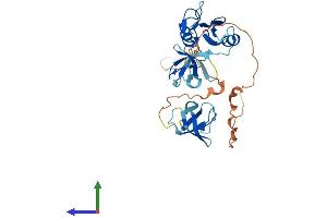 Protein Structure (PS) image for GRB2-Related Adaptor Protein 2 (GRAP2) (AA 1-322) protein (His tag) (ABIN7562711)
