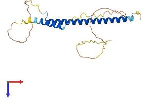 AKIRIN2 Protein (AA 1-203) (His tag)