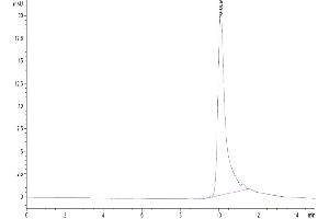 Size-exclusion chromatography-High Pressure Liquid Chromatography (SEC-HPLC) image for Interleukin 20 (IL20) (AA 25-176) protein (His tag) (ABIN7274921)