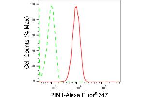 Flow cytometric analysis of PIM1 expression in HT- cells using PIM1 antibody (ABIN7799837), 1:2,000). (Rekombinanter PIM1 Antikörper)
