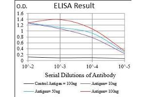 Black line: Control Antigen (100 ng), Purple line: Antigen(10 ng), Blue line: Antigen (50 ng), Red line: Antigen (100 ng),