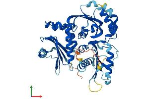 Protein Structure (PS) image for Fuzzy Homolog (FUZ) (AA 1-418) protein (His tag) (ABIN7547852)