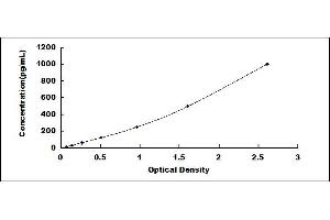 Typical standard curve (S100A6 ELISA Kit)