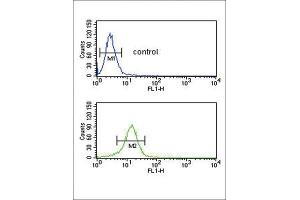 Flow Cytometry (FACS) image for anti-Collagen, Type V, alpha 2 (COL5A2) antibody (ABIN3003163) (COL5A2 Antikörper)