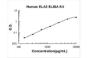 Typical Standard Curve