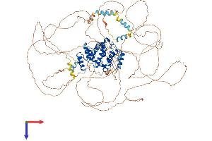 rho GTPase Activating Protein 11A (ARHGAP11A) (AA 1-987) protein (His tag)